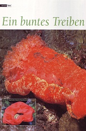 Natürlich 3-2005, Seite 1