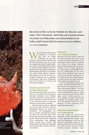 Natürlich 3-2005, Seite 2