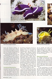 Natürlich 3-2005, Seite 3