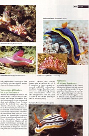 Natürlich 3-2005, Seite 4