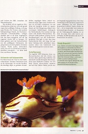 Natürlich 3-2005, Seite 5