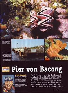 TAUCHEN 04-2007, Seite 2