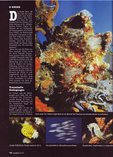 TAUCHEN 04-2007, Seite 3